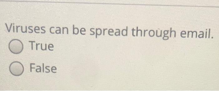 Viruses can be spread through email. O True False