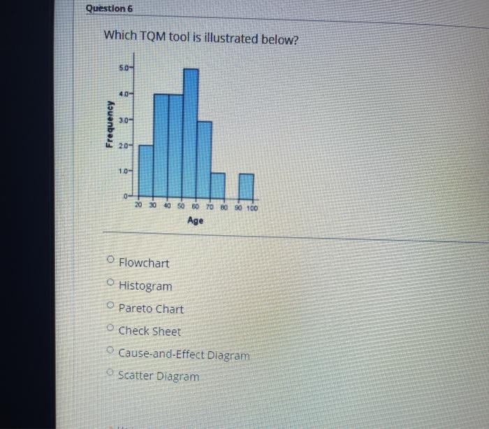 Question 6 Which TQM tool is illustrated below?