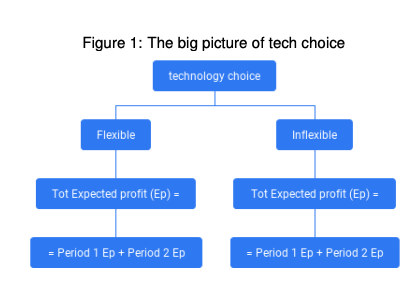 The setting and the firm objective. The firm
