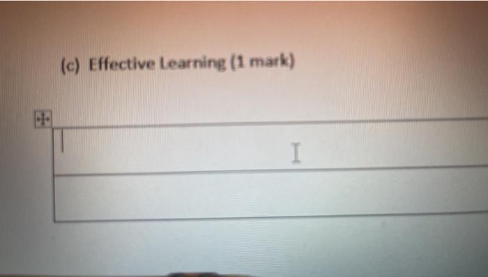(c) Effective Learning (1 mark)
