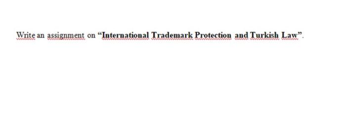 Write an assignment on International Trademark
