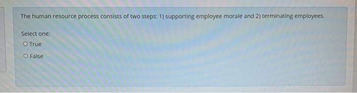The human resource process consists of two steps: