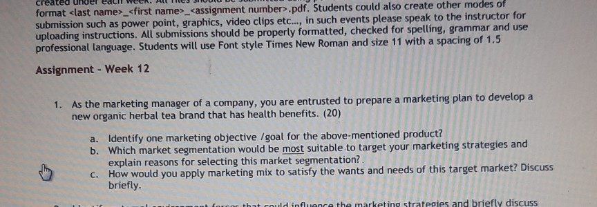 format _ _ .pdf. Students could also create other