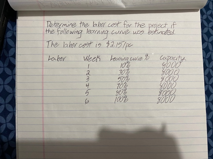 Determine the beber cost for the project, if the