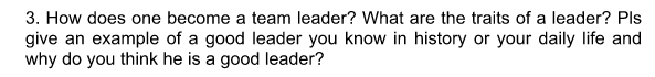 3. How does one become a team leader? What are