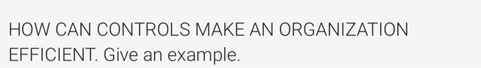 HOW CAN CONTROLS MAKE AN ORGANIZATION EFFICIENT.