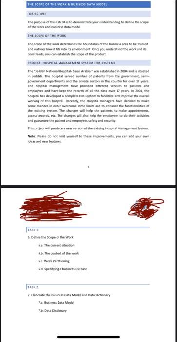 THE SCOPE OF THE WORK & BUSINESS DATA MODEL