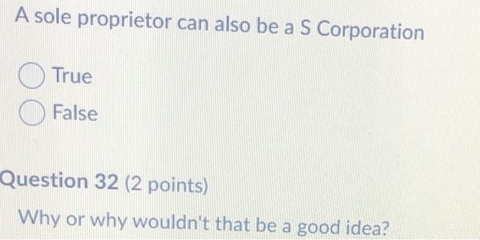 A sole proprietor can also be a S Corporation