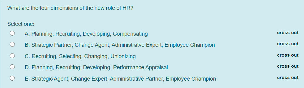 What are the four dimensions of the new role of