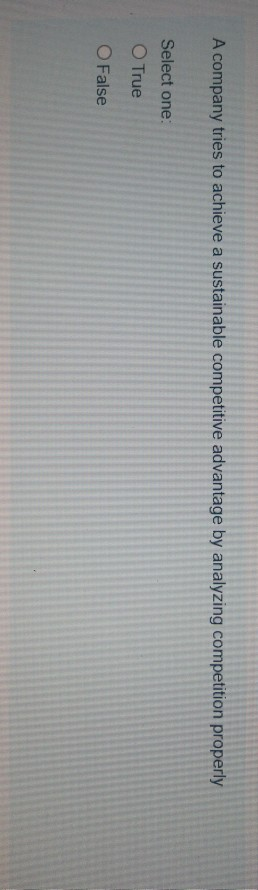 A company tries to achieve a sustainable