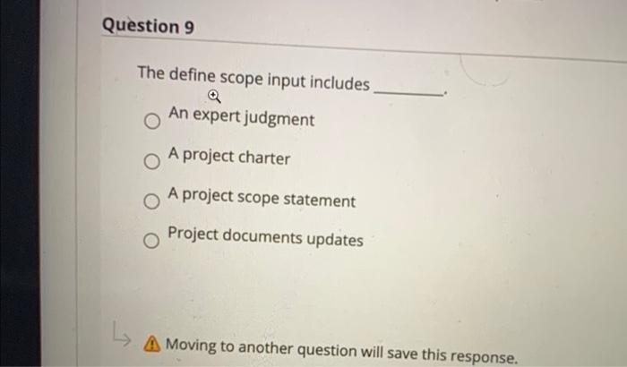 Question 9 The define scope input includes An