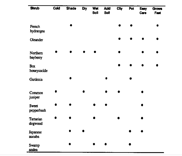 My task is to make the following clips program