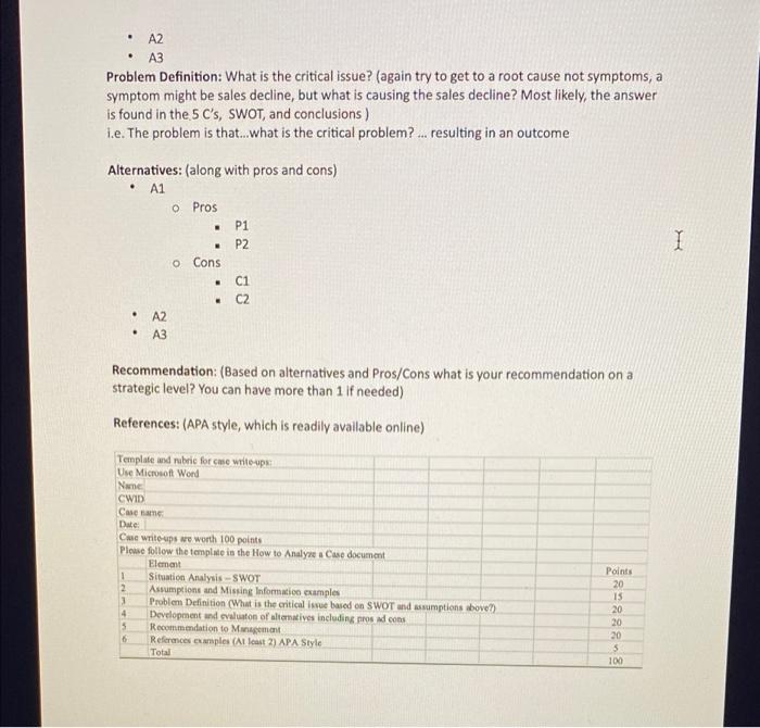 Template case write-up Not to exceed 5 pages