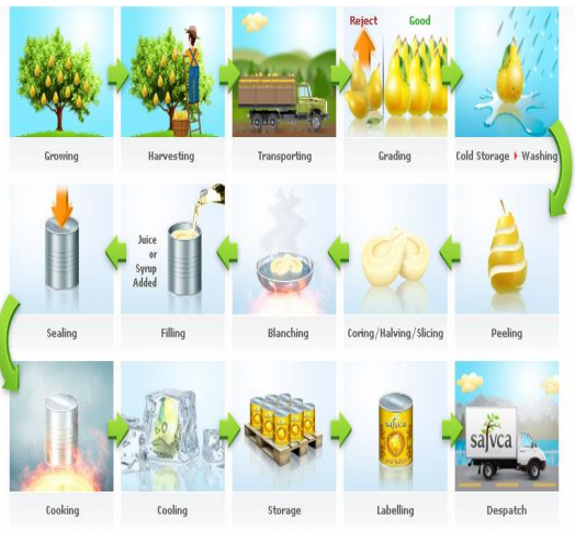 A) Using visuals can be quite important in