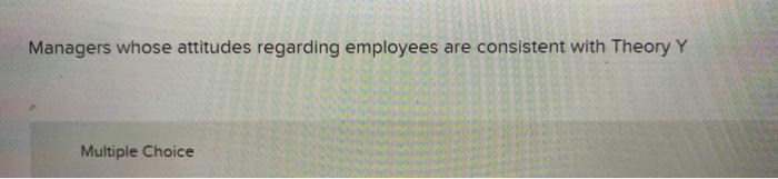 Managers whose attitudes regarding employees are