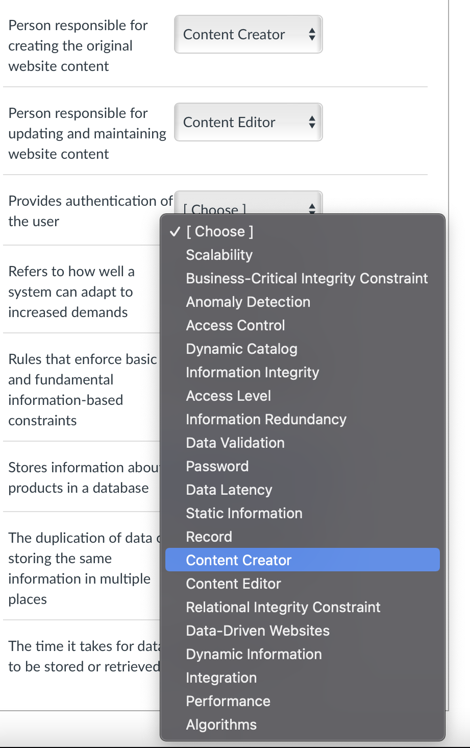 Content Creator Person responsible for creating