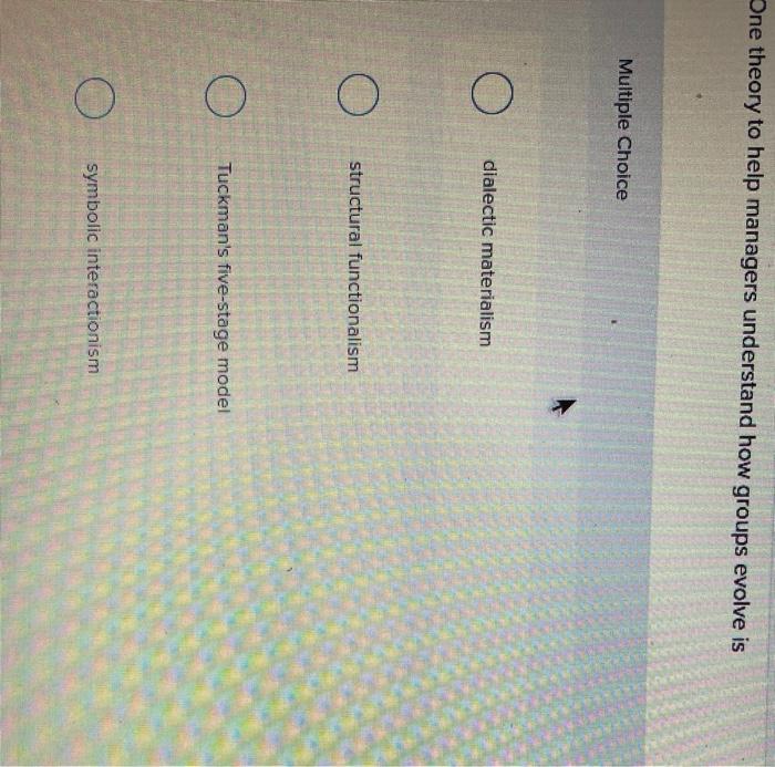 One theory to help managers understand how groups