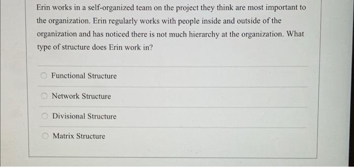 a Erin works in a self-organized team on the