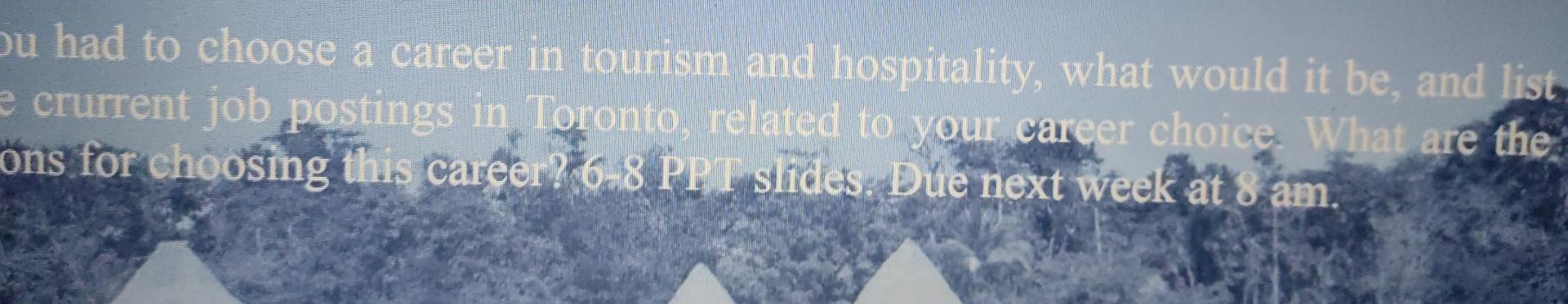 If you had to choose a career in tourism and