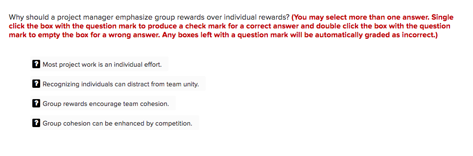 Why should a project manager emphasize group