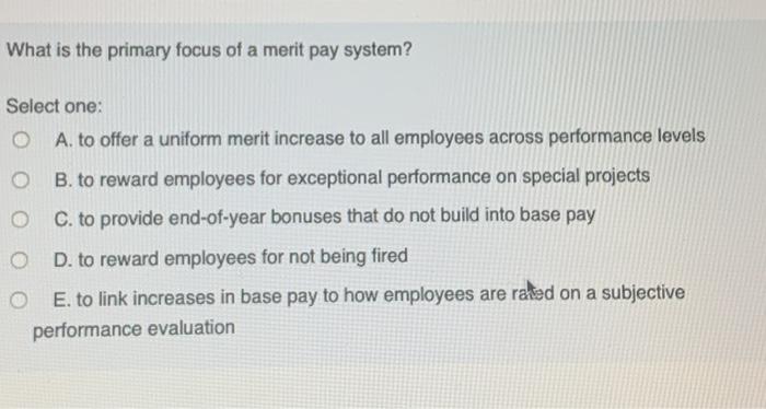 What is the primary focus of a merit pay system?