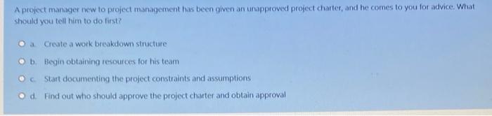 A project manager new to project management has