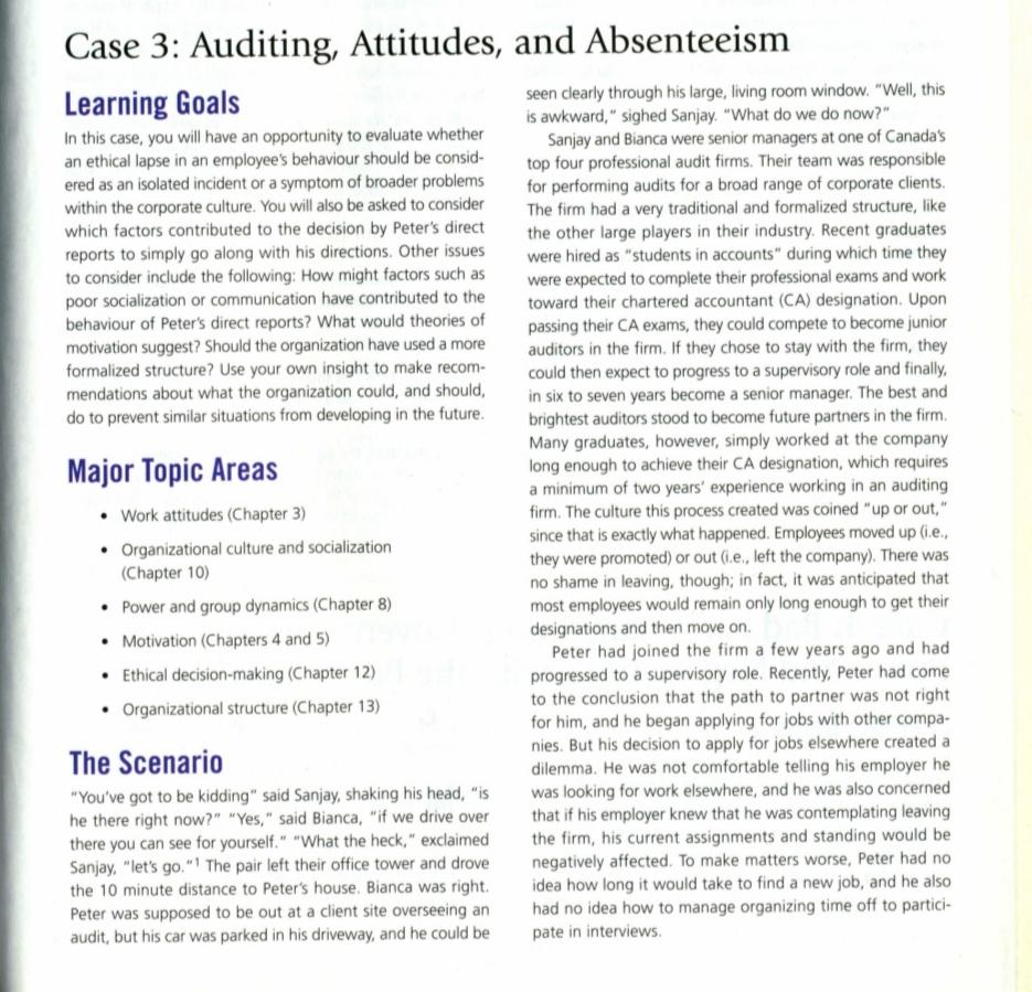 Case Analysis 2 - "Auditing, Attitudes and