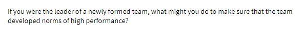 If you were the leader of a newly formed team,