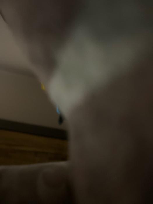 Bases of power. See V. 42), 2011 (UVEDEL). Q. 5.