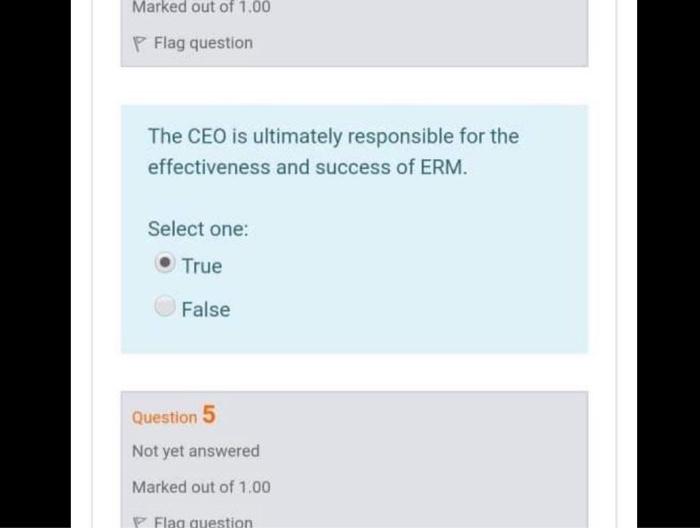 vvv Marked out of 1.00 P Flag question The CEO is