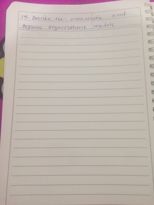 15. Decribe the Organic organizations mechanistic