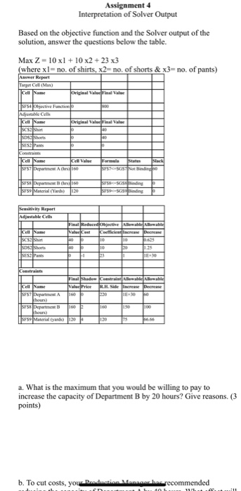 Assignment 4 Interpretation of Solver Output