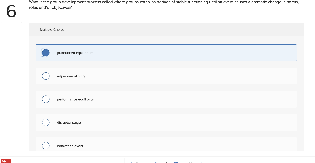 What is the group development process called