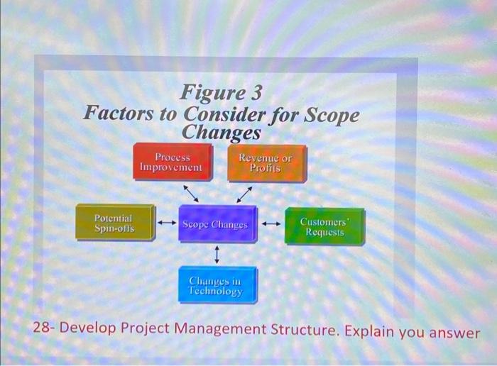 28- Develop Project Management Structure. Explain