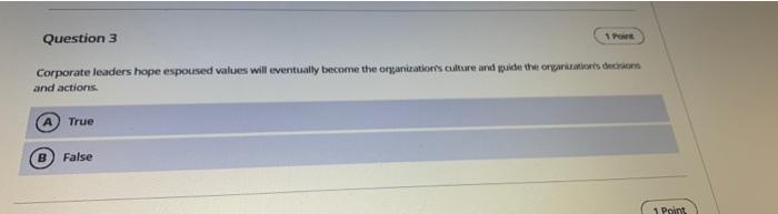 Question 3 1 Corporate leaders hope espoused