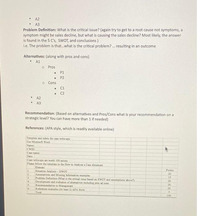 Template case write-up Not to exceed 5 pages