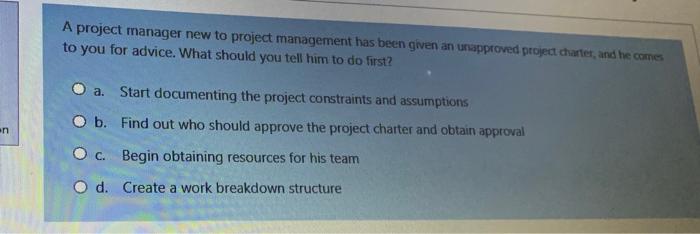 A project manager new to project management has