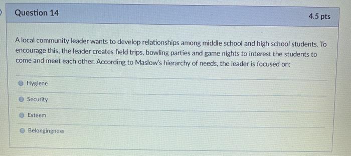 Question 13 4.5 pts Ron is a top manager for a