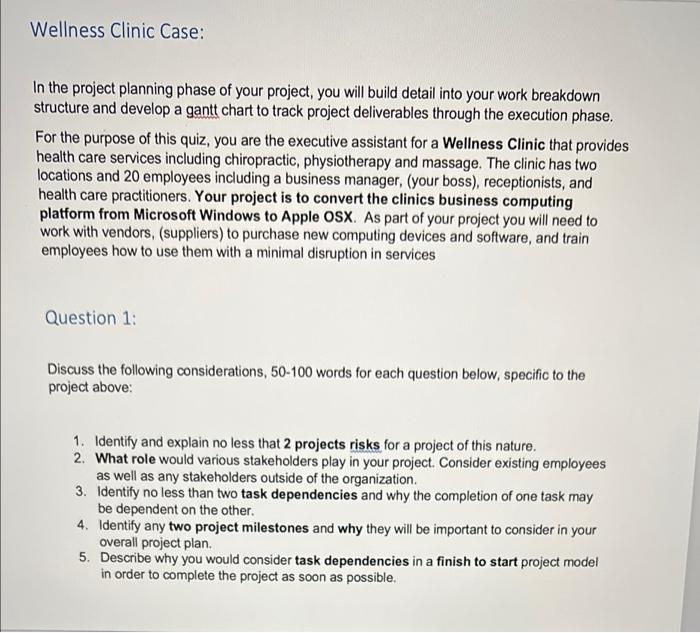Wellness Clinic Case: In the project planning