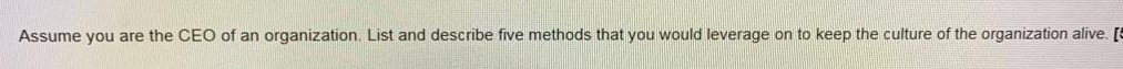 Assume you are the CEO of an organization. List
