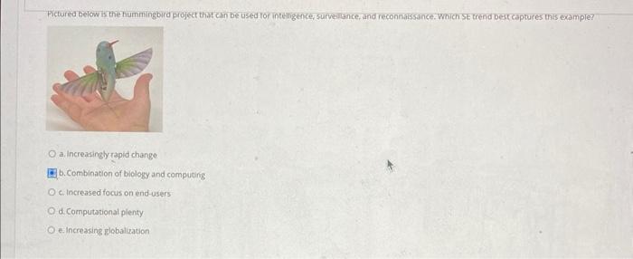 Pictured below is the nummingbird project that