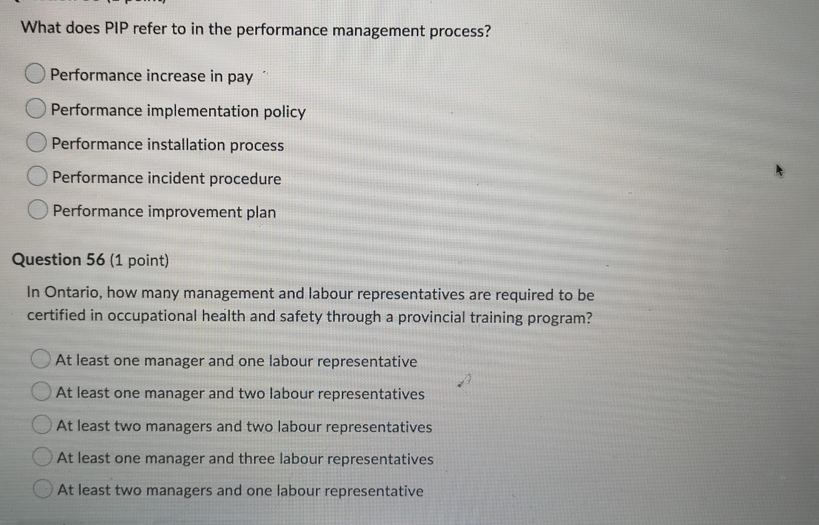 What does PIP refer to in the performance