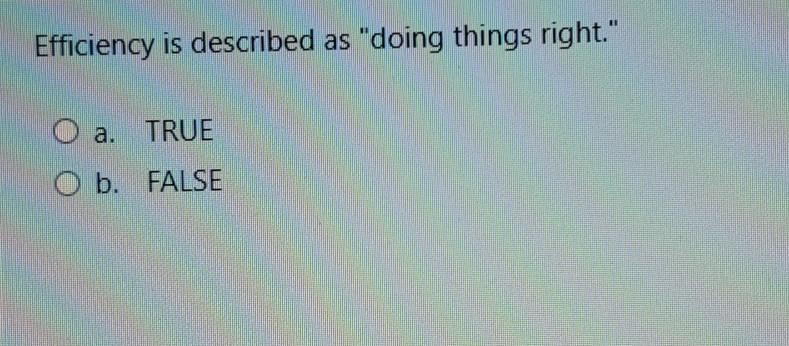 Efficiency is described as "doing things right."