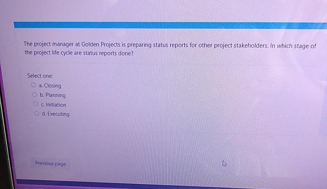 The project manager at Golden Projects is