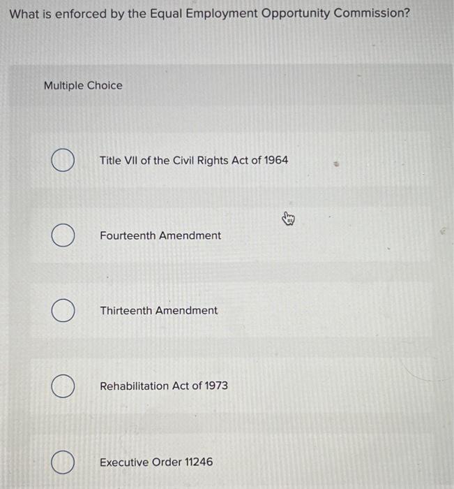 What is enforced by the Equal Employment