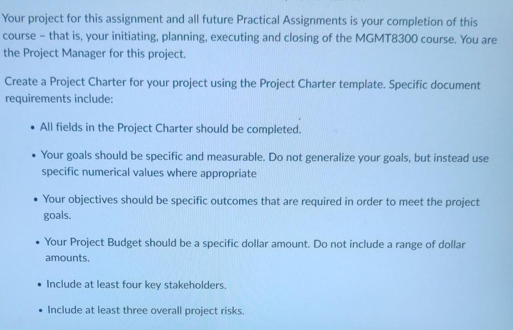 Your project for this assignment and all future