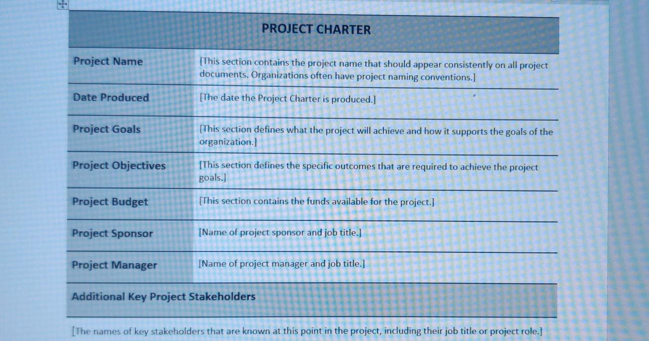 Your project for this assignment and all future