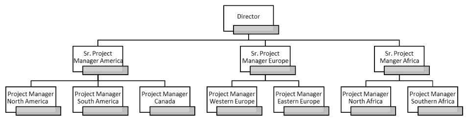 1.1. You are employed as a project manager for an