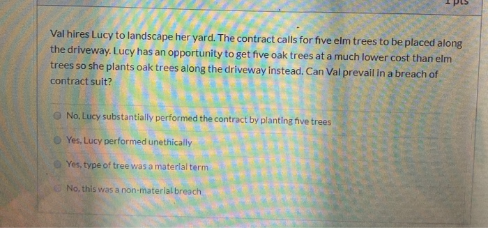 Val hires Lucy to landscape her yard. The