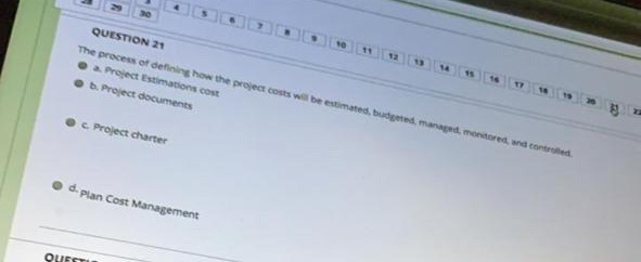 QUESTION 20 You are developing a document that is